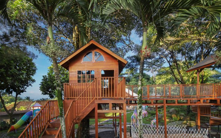 Tree House