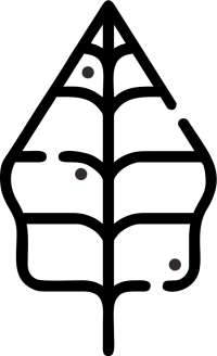 gunungan